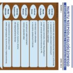 okladka_opinia-page-001-e1502277431345